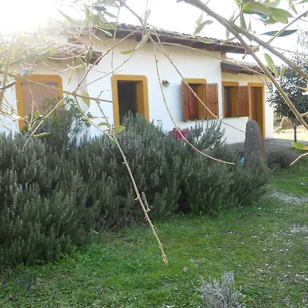 Agriturismo Su Nuratolu-2